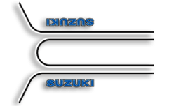 1979 Suzuki GS1000S gas tank decals